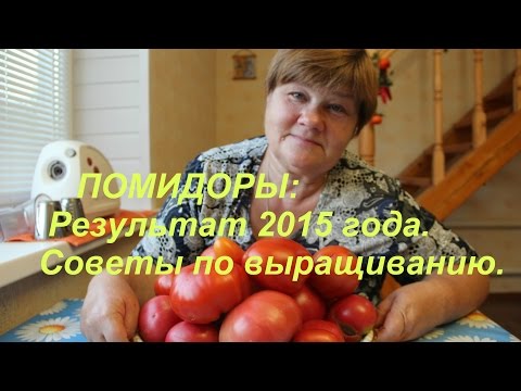 Видео: Помидоры: Результат 2015 года. Советы по выращиванию.