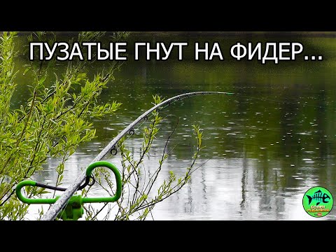Видео: РАДОСТИ НЕ БЫЛО ПРЕДЕЛА КОГДА... Рыбалка на ФИДЕР Весной. Западная Двина.