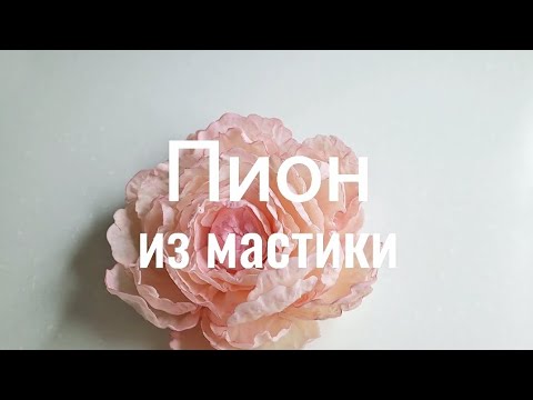 Видео: Пион из мастики без проволоки, полностью съедобный👌