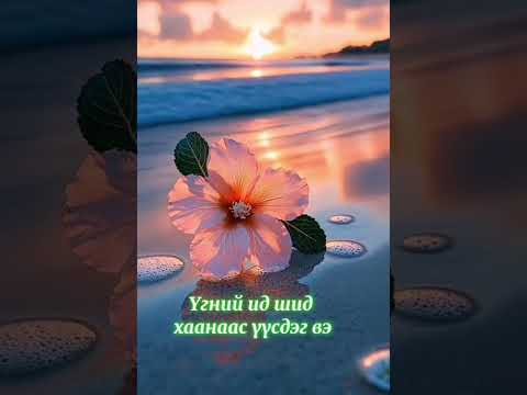Видео: Сайхан үг амьдралд нөлөөлдөг нь ийм учиртай байжээ🫢🙄