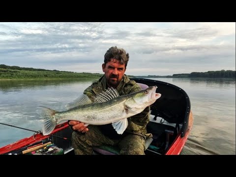 Видео: ВОТ И ПЕСКИ ЗАРАБОТАЛИ. Рыбалка на Оби ( Сузун ) 27 августа 2023г.