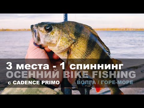 Видео: ИЩЕМ КРУПНОГО ОКУНЯ с CADENCE PRIMO в различных условиях! ОСЕННИЙ БАЙК ФИШИНГ.