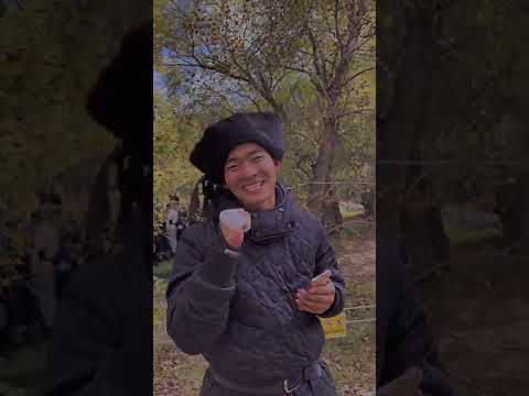 Видео: Сээр шалгах тэмцээн ( hэер шаалга, hэер шалгаан, hэер хухалаан ) Сээр хугалах, Сээр цохих