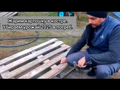 Видео: Жарим картошку в костре + Убираем урожай 2025 в погреб! Сельская жизнь в Казахстане.