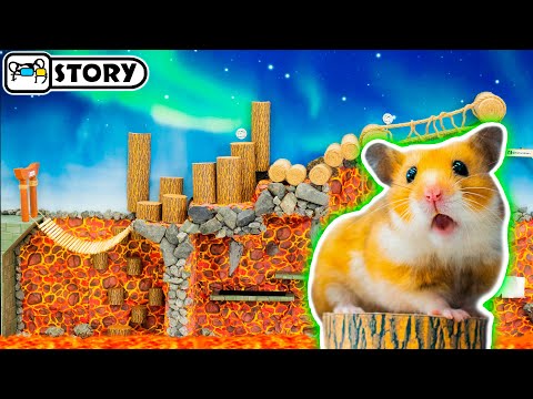 Видео: Пол это лава с Хомяком 🔥 Приключения в вулкане 🔥 Хомура Хам Питомцы
