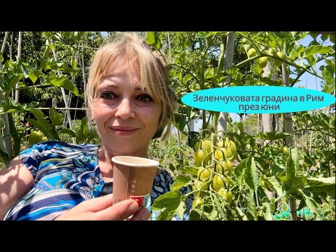 Видео: Зеленчуковата градина през юни/РИМ