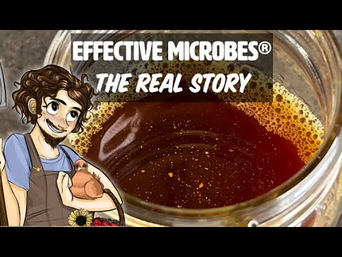 Видео: Эффективные микробы® (ЭМ) — Реальная история
