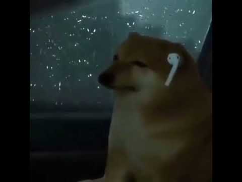 Видео: Митя Фомин - восточный экспресс (slowed down)