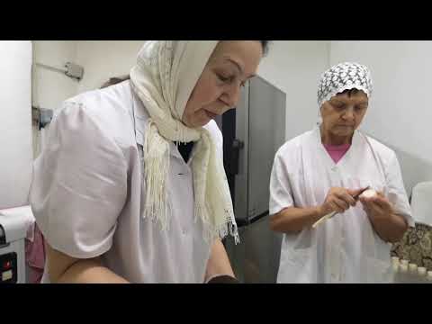 Видео: ВЕСТНИК 20 выпуск