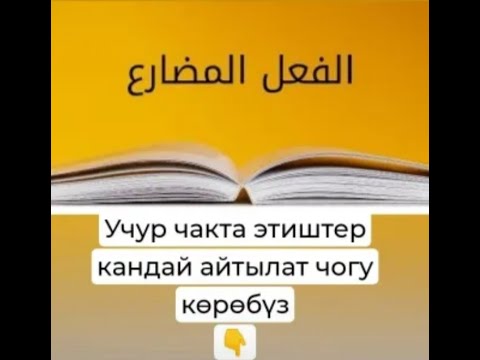 Видео: Араб тили:Учур-келер чак этиши жана анын жакталышы