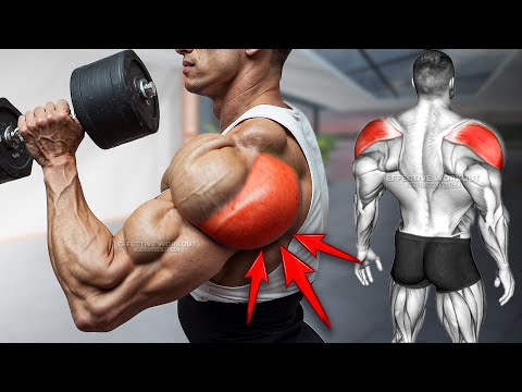 Видео: 10 лучших упражнений на задние дельты (3D ПЛЕЧИ)