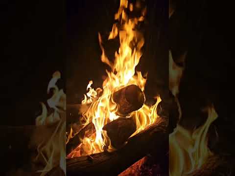 Видео: Панаиотиди.Панаёт.Л.