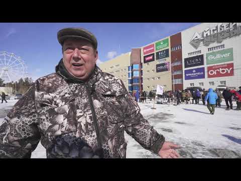 Видео: Западно-сибирские лайки. Республиканская выставка охотничьих лаек «Лайки Якутии 2021»
