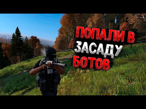Видео: Dayz - ПОПАЛИ В ЗАСАДУ БОТОВ