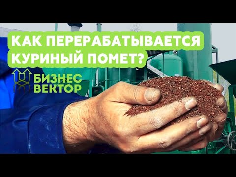 Видео: Переработка куриного помета RESt (ReEcoSource technology)