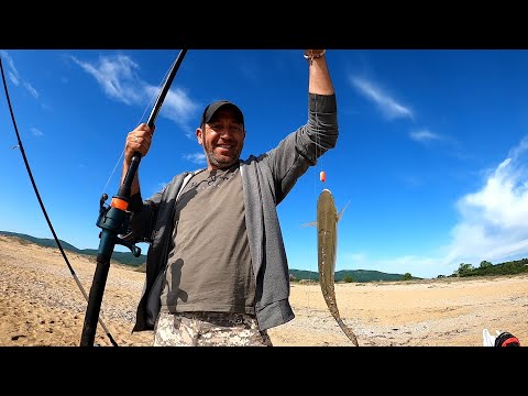 Видео: ПЛАТЕРИНИ от ПЛАЖА!