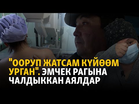 Видео: Рак: Илдет менен кошо тооруган көйгөй