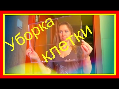 Видео: Уход за животными❤️Уборка клетки хомяка❤️ #Хомяки