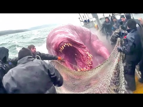 Видео: Рыбаки Сняли на Камеру ТАКОЕ, Что Никто не Должен Был Увидеть