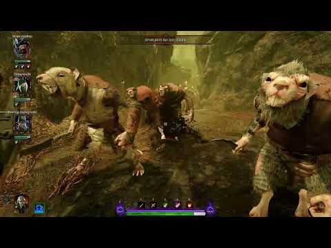 Видео: Warhammer Vermintide 2 акт 23 Заброшенный храм.