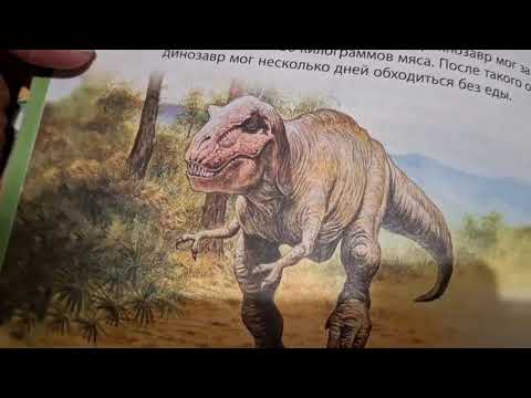 Видео: Отчёт  за неделю