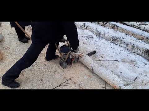 Видео: Бензопила Дружба 4"Электрон" в работе. Готовим дрова.