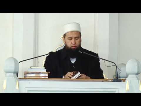 Видео: Нике адеби