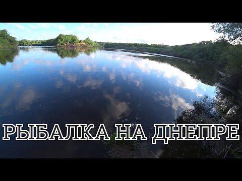 Видео: Рыбалка на Днепре,поклевки один за одним но...