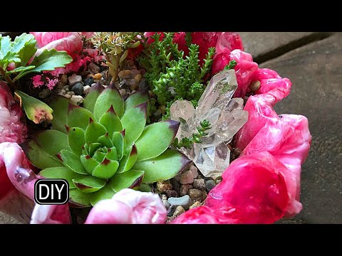 Видео: СУККУЛЕНТЫ И ЭПОКСИДНАЯ СМОЛА. Делаем стильные горшки для цветов.