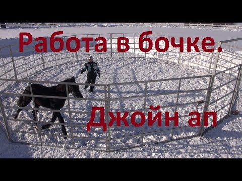 Видео: Работа в "бочке" с лошадью. Джойн ап или "присоединение".