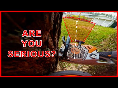 Видео: Можно ли действительно удалить это ДЕРЕВО, ничего не повредив?