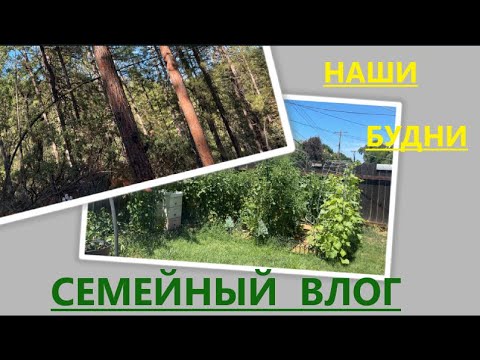 Видео: СБОРНИК ПОД НАЗВАНИЕМ ВСЕГО ПО-МАЛЕНЬКУ. ПРИЯТНОГО ПРОСМОТРА)))