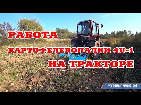 Видео: Картофелекопатель 4U-1