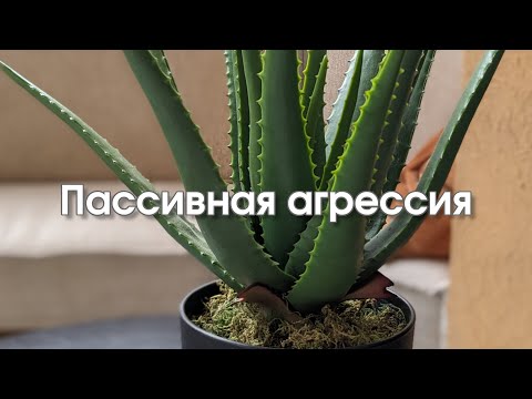Видео: Пассивная агрессия