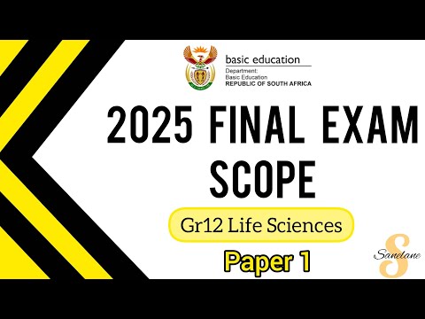 Видео: ОБЪЕМ ИТОГОВОГО ЭКЗАМЕНА | 12-я группа, Науки о жизни | 2025 октябрь/ноябрь | Работа 1