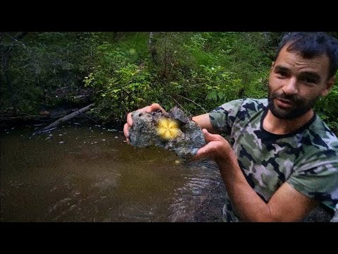 Видео: 4 дня на золотом ручье. 4 days at the Golden Creek