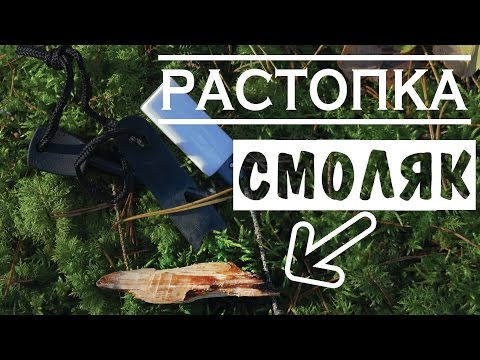 Видео: Растопка - "Смоляк" / Fatwood