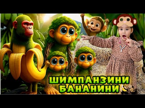 Видео: ШИМПАНЗИНИ БАНАНИНИ🐒🍌ҮЙІНЕ КЕЛДІК🤯|МИНИ ФИЛЬМ🎥1 ЧАСТЬ | АЙЛИН МЕН ЛЯЙСАНДЫ ШАҚЫРДЫ😱#trend