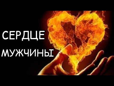 Видео: Настоящая правда "Сердце мужчины" Автор Ага Ибрагимов