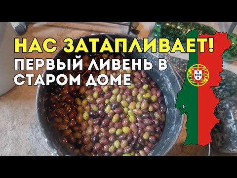 Видео: Нас затапливает! Первый ливень в старом доме 💧🇵🇹