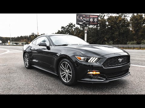 Видео: Ford Mustang 2.3 EcoBoost. Настоящий Mustang. Тест-Драйв.