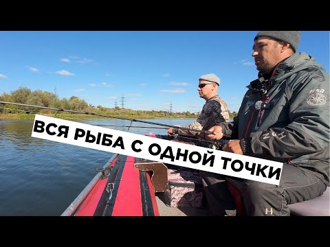 Видео: ДЕСЯТЬ ЩУК С ОДНОЙ ТОЧКИ!!! ВОЛОСЯКА - ПРИМАНКА, КОТОРАЯ СПАСЛА РЫБАЛКУ