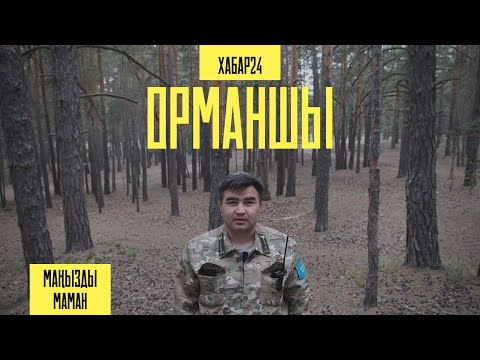 Видео: Орманшы Қайырбай Балтабаевпен бір күн | Маңызды маман