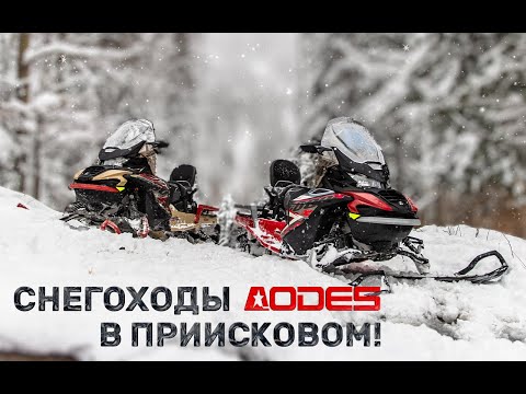 Видео: Снегоходы AODES в Приисковом! Полный обзор Snowcross 1000 WT и SWT.