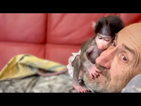 Видео: Степашка ТАК МИЛО укладывается с Владом спать после завтрака!