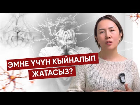 Видео: Сиз чындап өзүңүз каалаган жашоону жашап жатасызбы? Кыйынчылыктардан кантип арылабыз?