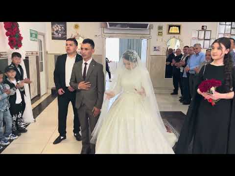 Видео: 11 июня 2024 г.