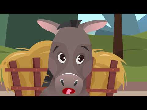 Видео: Уæрдон тулы