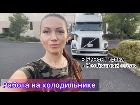 Видео: ч.2 Работа на холодильнике. Цены. Плюсы-минусы. Что лучше - рифер или Амазон? / Необычный отель.
