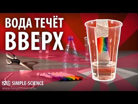 Видео: ВОДА ТЕЧЕТ ВВЕРХ - физические опыты для детей